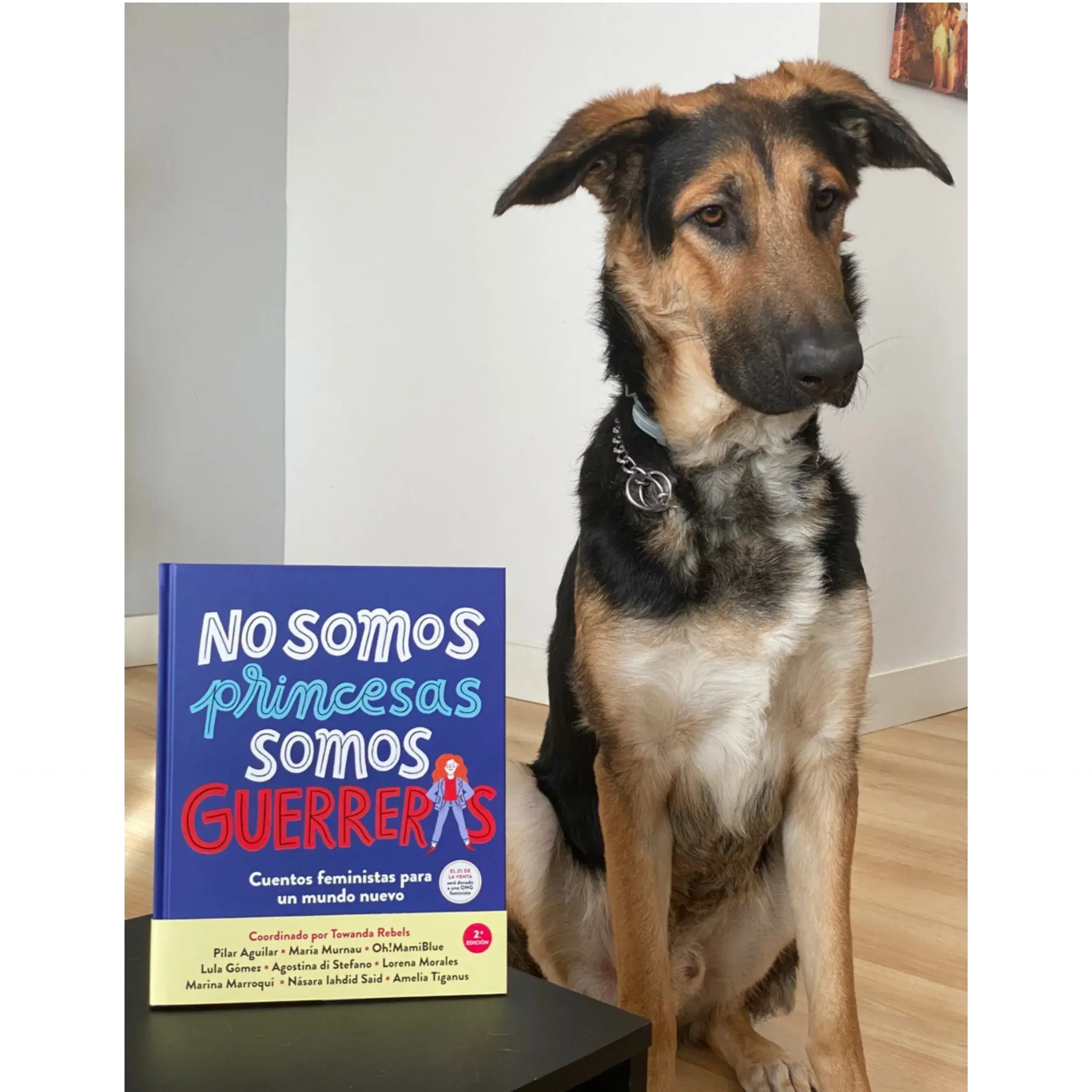 Galería No somos Princesas somos guerrera 2